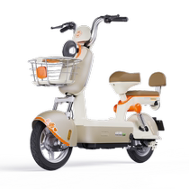 Luyuan 48V24Ah new national standard long-range electric bicycle Kale 08 PRO battery car for baby transportation