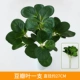 Douban Leaf