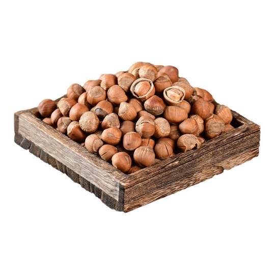 Wild Northeastern specialty hazelnuts, hazelnuts, hazelnuts shot by hand