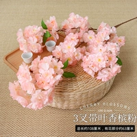 3 вилка с порошком листового шампанского