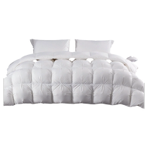 Дом Dreamers Home Spun Down Quilt 95 White Goose Down Quilt Feather Quilt Universal Winter Quilt С Thickened Теплой