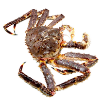 Monarch Crab Fresh Seafood 10 Catty Crab Giant Crab Lobster Giant Long Foot Crab Aquatic Kits Live Home