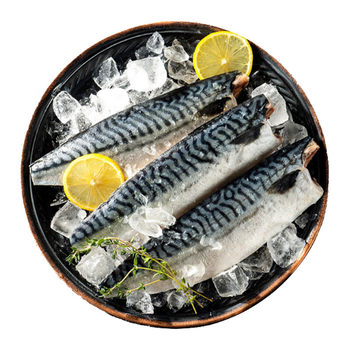 Mackerel imported from norway, fresh mackerel fillets, commercial salt-grilled mackerel, salt-grilled fresh frozen mackerel
