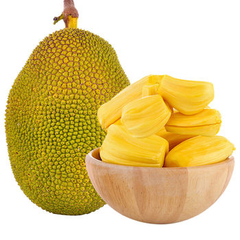 Hainan yellow flesh jackfruit old tree big fruit