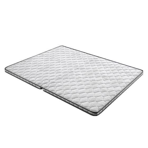 Mustiqi 5cm imported coconut shred student mattress