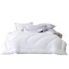 Mercury Home Textiles Antibacterial Warm Winter Quilt