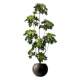 Simulated green plants, high-end light luxury duck foot wood indoor potted plants, large bionic plants, fake trees, living room decorations