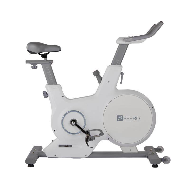 FEEBO Feibo dynamic bicycle home intelligent resistance adjustment self-generated indoor removable fitness bicycle bicycle
