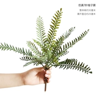 Симуляция 7 листовой папоротник