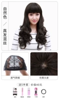 Qi liu hai Natural Color [дышащая сеть] Отправить пять штук