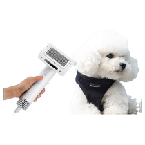 Pooch blowing-hairy all-in-one pet hair dryer teddy bibi bear styling blown hair comb bath drying special