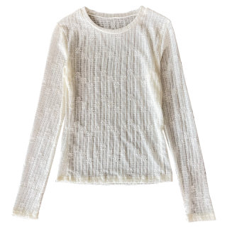 Wenxian commuter mesh lace top