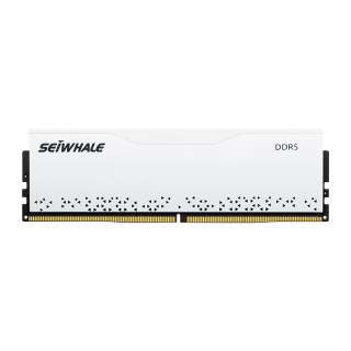 Owlwhale judge ddr5 desktop memory module
