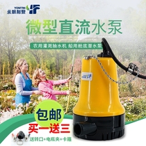 DC water pump 12V24V micro water pump household water pump agricultural watering small submersible pump marine bilge pump