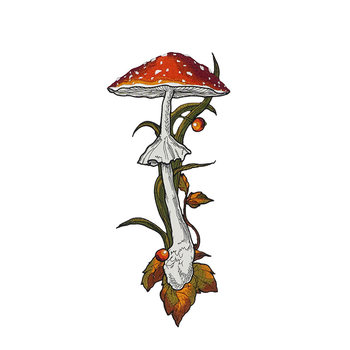 Kamo Original Heavy Embroidery Vintage Mushroom Berry Tie for Women No-Knot Bow Tie Niche Shirt Accessory