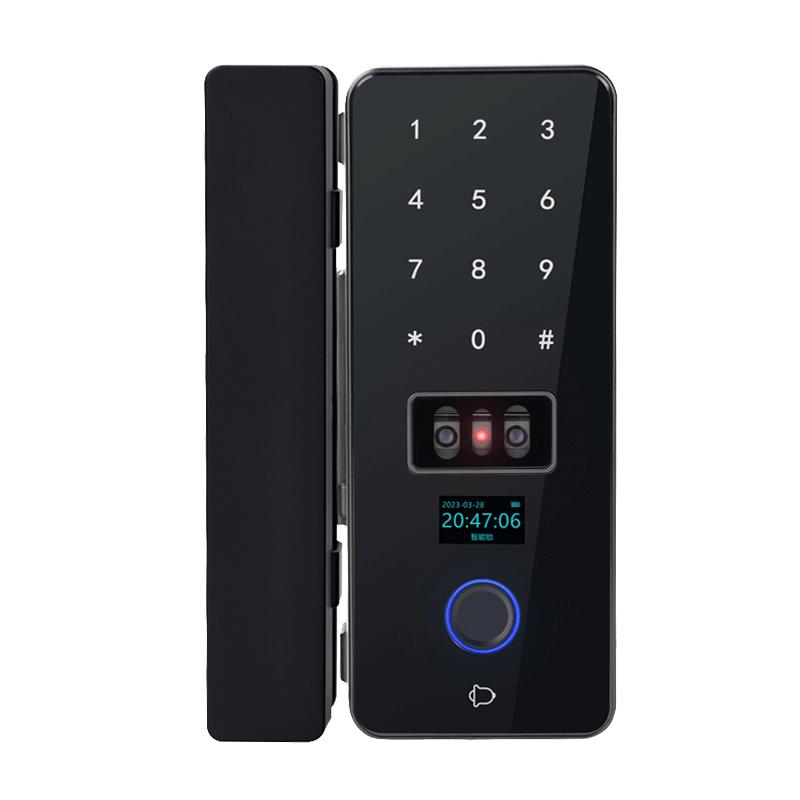 Lunbang face recognition fingerprint password swipe card glass door