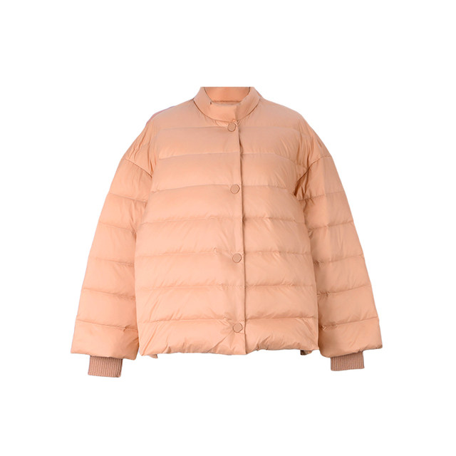 Taiwan embroidery commuter style short stand collar down jacket