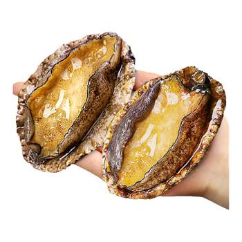 Flash sale! super large abalone meat, shelled and frozen alive