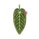 Hot plant flower candle leaf hand towel