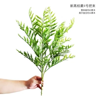 Новая высокая филиала папоротник № 4