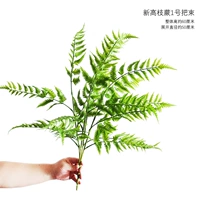 Новый High Branch Fern № 1 группа