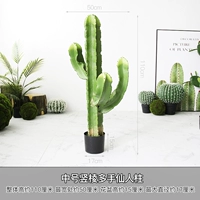 Средний номер вертикальный края