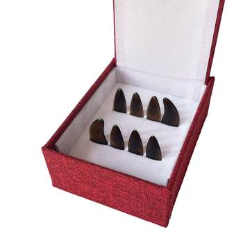 Guzheng nails tortoise shell color Dunhuang flat fake nails groove gift box with artificial nail tape professional ເດັກ​ຮຽນ​ປະ​ສິດ​ທິ​ພາບ