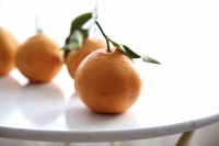 Весна см. Rake Citrus, назначить встречу в следующем году