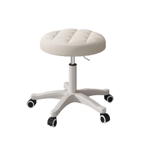 Bedroom Dresser Chair Lift Makeup Chair Make-up Stool Computer Chair Beauty Salon Special Chair Universal Wheel Swivel Chair