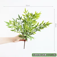 Мягкая резина типа А папоротник