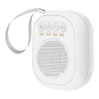 Mini small recording loop player multi-function playback all-in-one recorder bird player with plug-in card