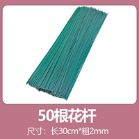 30 см. Цветочный полюс 50 корней