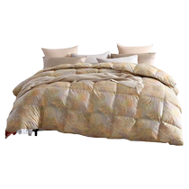 Dreamers Прятал 95 Белых Гуся Вниз Quilt Duvet Quilted By Студенческое Общежитие Singer Quilt Children Thickened Теплое quilt core