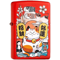 zippo lighter genuine American original red matte paint cat gift boyfriend personalized color printed zp windproof lighter