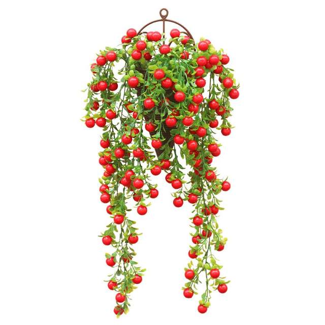 Facai Fruit Cane Wall Decoration Pendant Red Currant