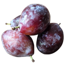 Чилийский T Grand Big Frug Fresh Simmee 4 Catty Фрукты В Сезон Делает Беременную Женщину Crisp И Plum Свежими