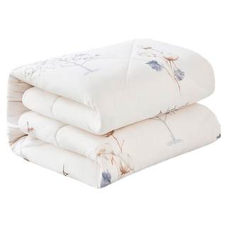 Xinjiang long-staple cotton quilt