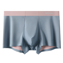 Catman Modal Mens Underwear Boys Ice Silk Boxer Briefs Antibacterial Seamless Breathable Youth Boxer Shorts