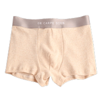 Mens underwear boys pure cotton antibacterial four-corner sweater sports breathable teen summer thin flat shorts head