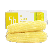 Tianqin grain net new season corn waxy corn sweet sticky vacuum packaging 10 pieces * 1 box organic sticky corn