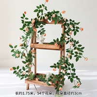 OGS Rose Champagne Color