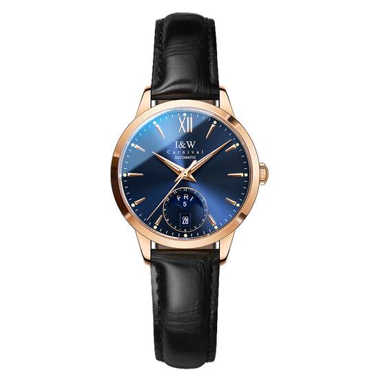 iw爱沃驰手表女款机械表全自动女士手表小众轻奢高级七夕礼物老婆