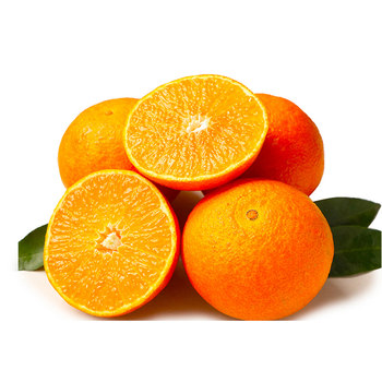 100,000 repeat customers! authentic meishan ehime jelly orange