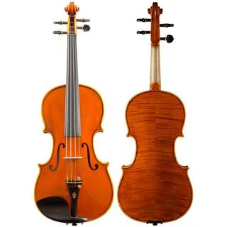 Christina v05 professional student violin