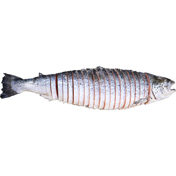 Imported salmon frozen wheel cut 5-6kg