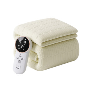 水暖电热毯双人双控电褥子2025新款正品单人宿舍家用水循环调温