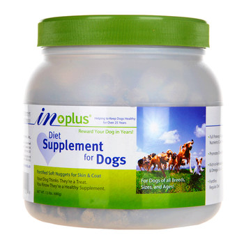 Lecithin medes samoyed dog