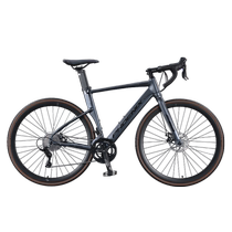 Official Phoenix Road Bike Male and Female Student Aluminum Alloy 18-Speed ​​Transmission Racing Urban Adult Bicycle