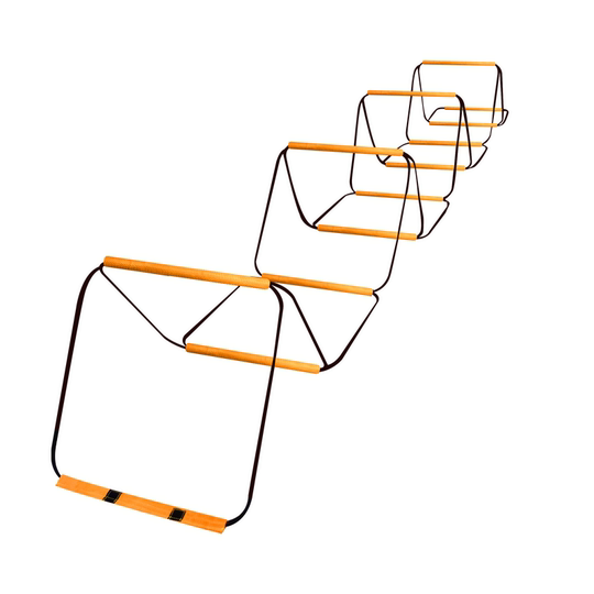 Multifunctional agile ladder