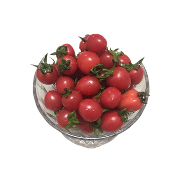 Shandong millennium small tomatoes are delicious farm specialties